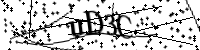 Por favor, digite as letras abaixo