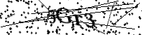 Por favor, digite as letras abaixo